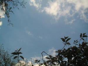 View of the sky through the glass roof of my car